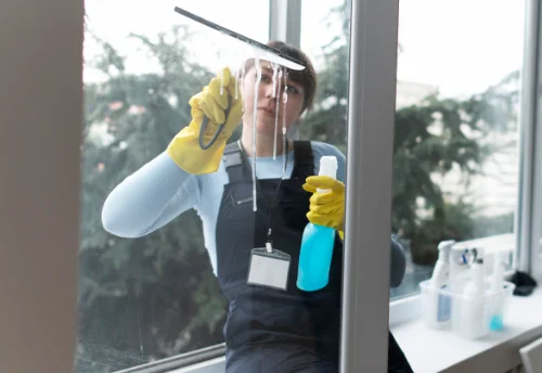 Nettoyage de vitres intérieures et extérieures à Saint-Marcel-de-Careiret